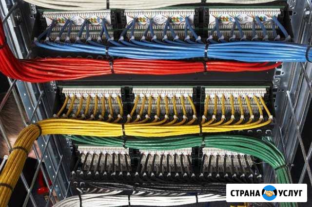 Волс, компьютерная сеть, телефония, электрика Новосибирск - изображение 1