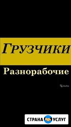 Грузчики разнарабочие Краснодар - изображение 1