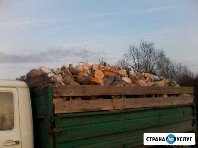 Дрова Псков - изображение 1