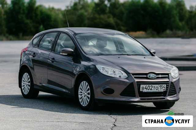 Аренда авто Форд Фокус 3 Новосибирск - изображение 1