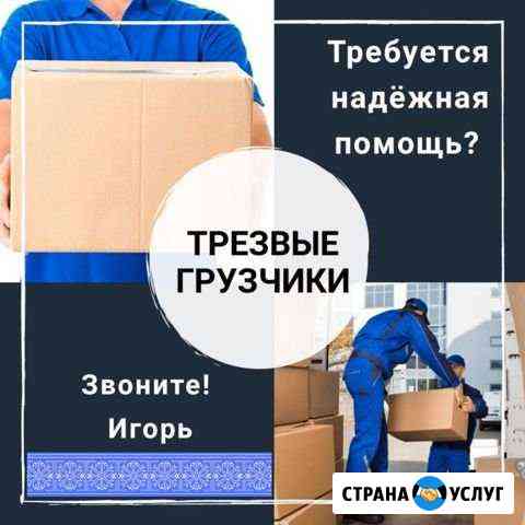 Трезвые грузчики Липецк