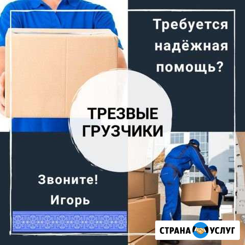 Трезвые грузчики Липецк - изображение 1