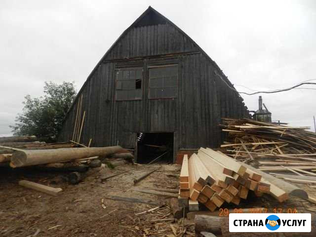 Совместное производство пиломатериала Вологда - изображение 1