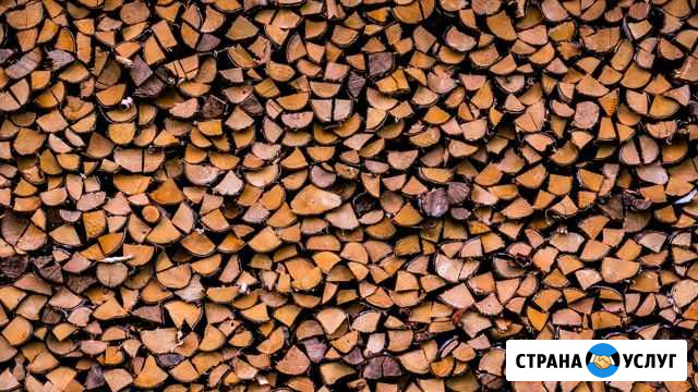 Дрова Тума - изображение 1