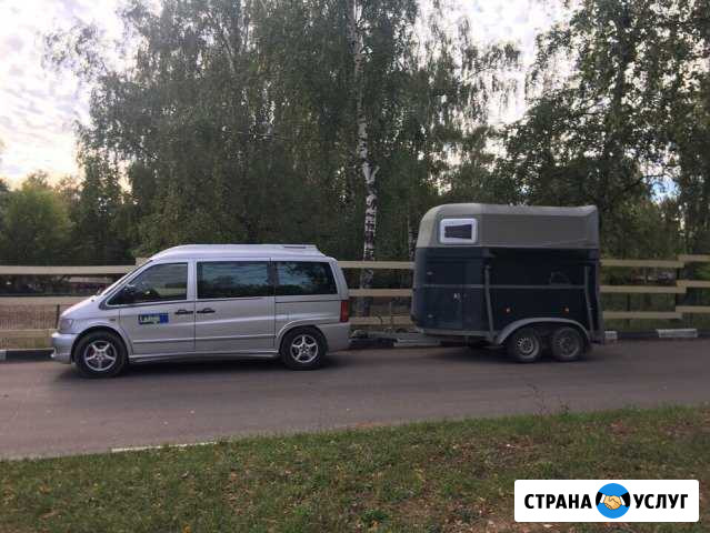 Конеперевозки по вашей цене Москва - изображение 1