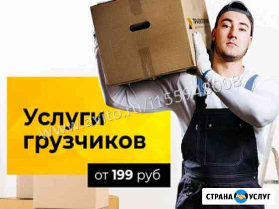 Грузчики Ивантеевка