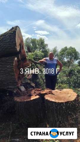 Опиловка и удаление любых деревьев Щекино - изображение 1