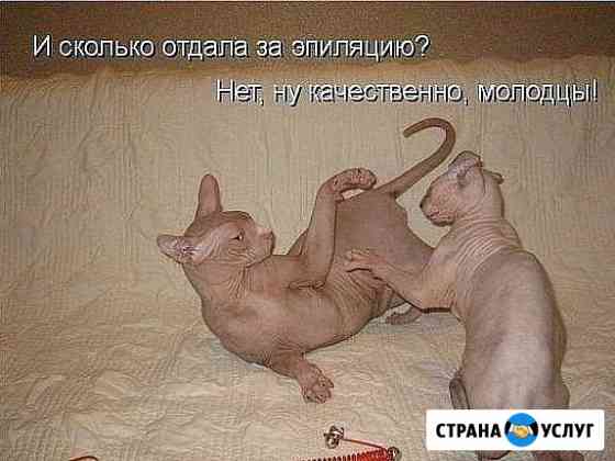 Депиляция Ставрополь