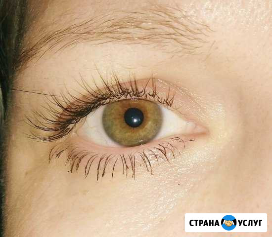 Наращивание ресниц, оформление бровей, маникюр Курган - изображение 1