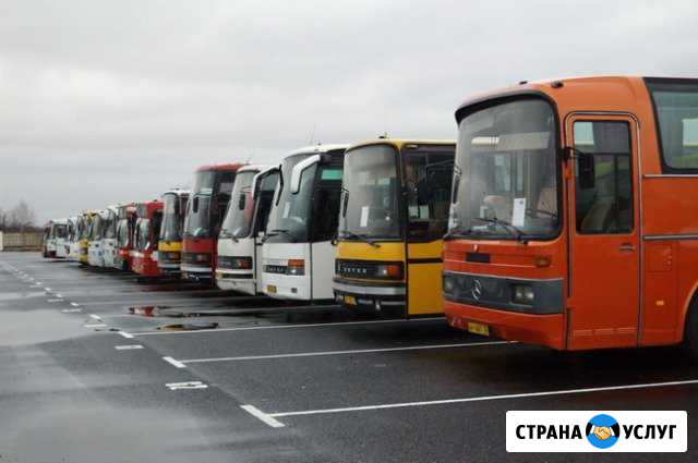 Пассажирские перевозки Свободный - изображение 1