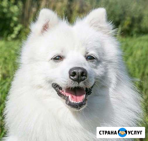 Вязка Кемерово - изображение 1