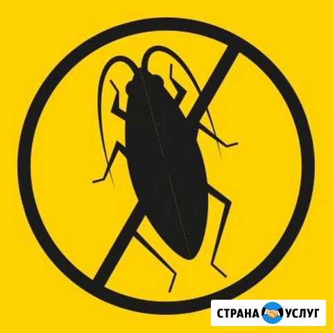 Дезинфекция, травля клопов тараканов Кемерово - изображение 1