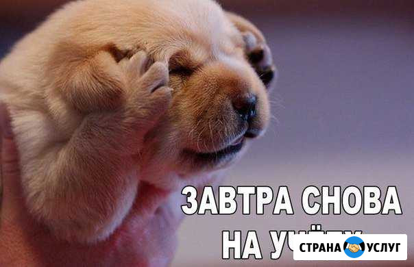 Помощь заочникам Петрозаводск - изображение 1