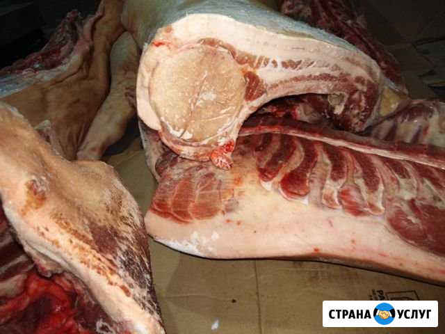 Свинина полутуша Райчихинск - изображение 1