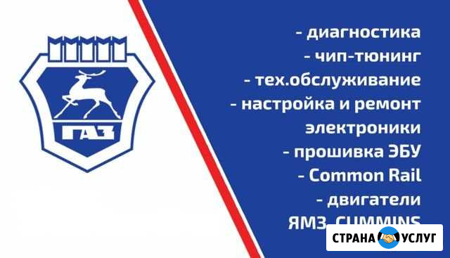 Газель Next (Некст), Валдай диагностика и ремонт Батайск - изображение 1