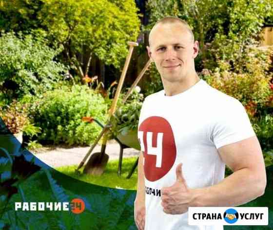 Грузчики Новосибирск