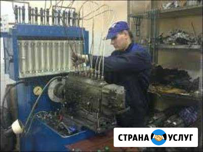 Тнвд. Регулировка, диагностика, ремонт Ульяновск - изображение 1