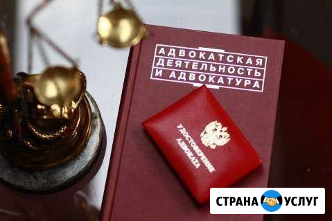 Адвокат Орёл - изображение 1