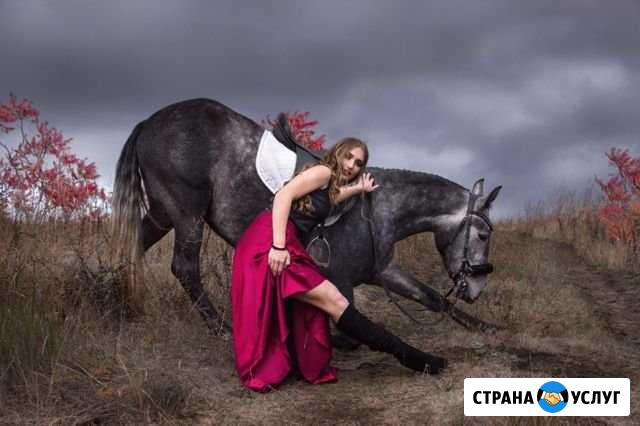 Фотосессия с лошадью Белгород - изображение 1