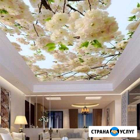 Натяжные потолки Бузулук - изображение 1