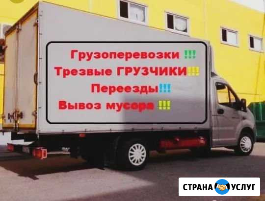 Грузчики Вывоз мусора Переезды Газели 24 часа Миасс - изображение 1