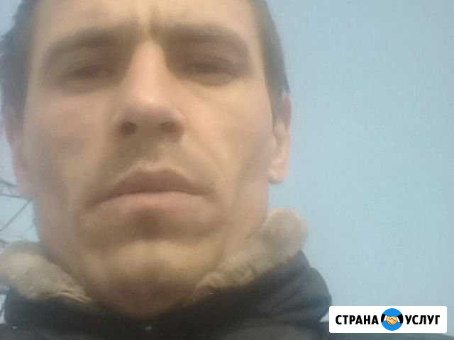 Электрик Вершина Теи - изображение 1