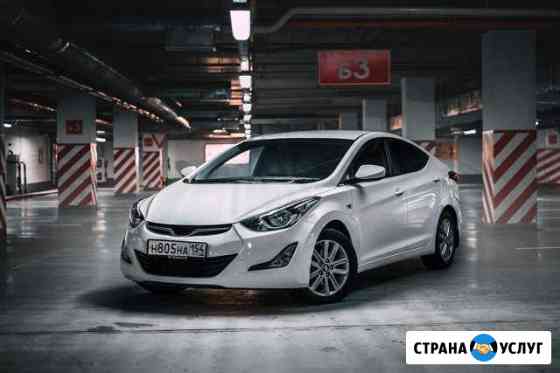Аренда автомобиля Hyundai Elantra Новосибирск