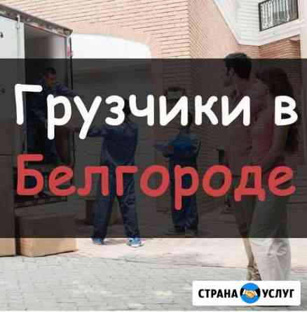 Услуги грузчиков Белгород