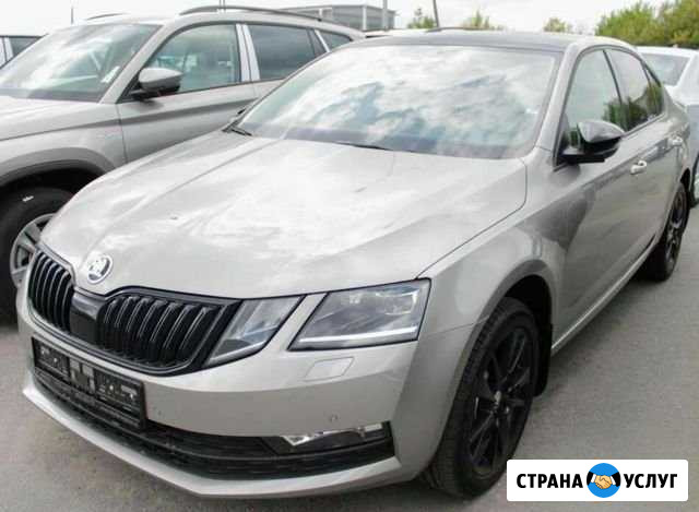 Аренда авто в такси выкуп Skoda Oktavia.без залога Санкт-Петербург - изображение 1