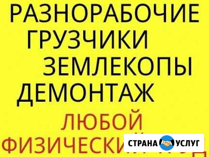 Грузчики, переезды+ авто Дзержинск - изображение 1