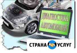 Диагностика авто диллирским сканером, прошивка Омск