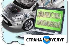 Диагностика авто диллирским сканером, прошивка Омск - изображение 1
