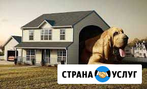Лучшая зоогостиница животных передержка Кинолог Сочи - изображение 1