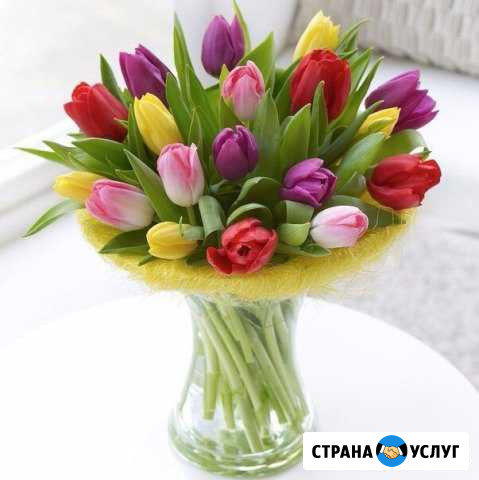 Бухгалтерские услуги ип Симферополь - изображение 1