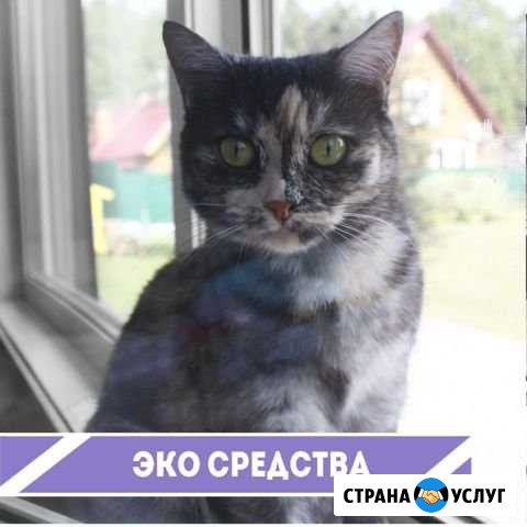 Уборка любой сложности Бердск - изображение 1