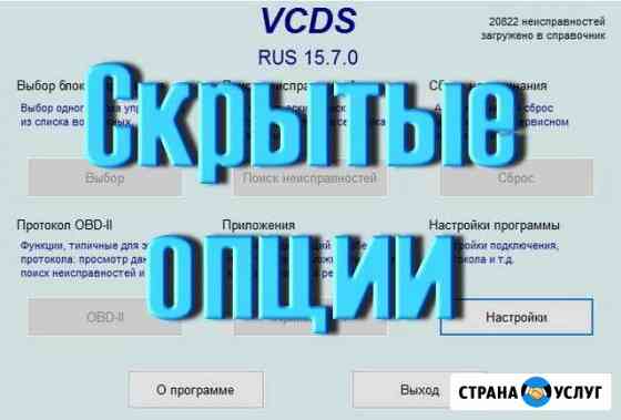 Активация Вася-диагност. odis. VAS5054. VAG-COM Самара