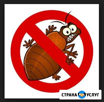 Уничтожение клопов и тараканов Советская Гавань - изображение 1