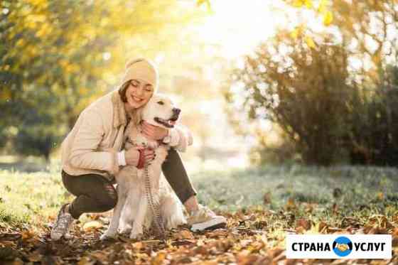 Зооняня. Передержка/выгул собак Красноярск