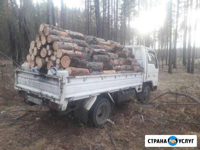Продам дрова Чита - изображение 1