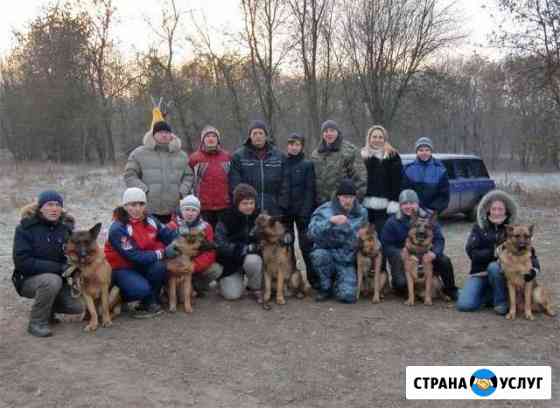 Дрессировка собак в Брянске и области Брянск