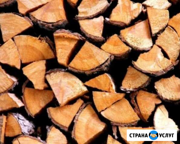 Дрова Альметьевск - изображение 1
