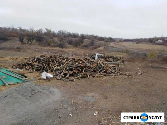 Дрова акация Новошахтинск - изображение 1