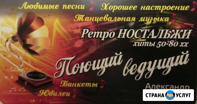 Услуги музыкального ведущего Ярославль - изображение 1