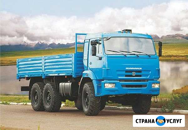 Программное отключение мочевины,egr на камаз,маз,п Набережные Челны - изображение 1