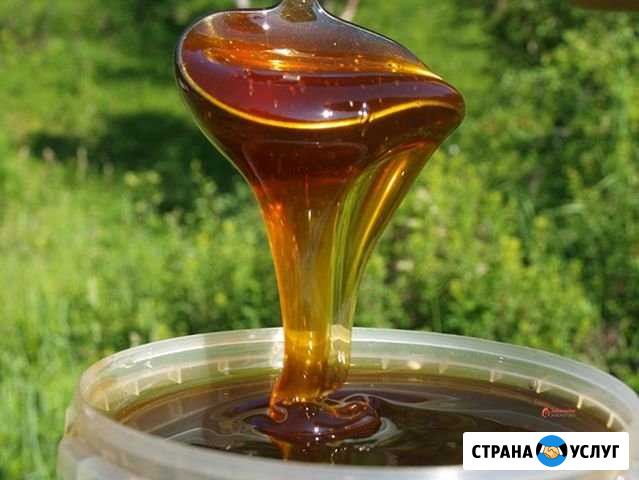 Мед натуральный- разнотравье пойменных лугов Ижевск - изображение 1