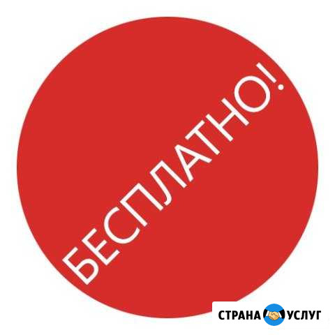 Региcтрaция оoо и ип Томск - изображение 1