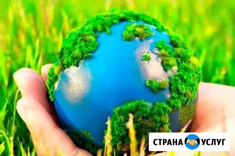 Обучение экологической бозопасности Псков - изображение 1