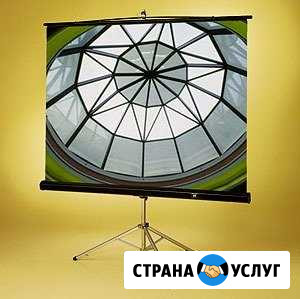 Аренда экрана и проектора в Севастополе Севастополь - изображение 1