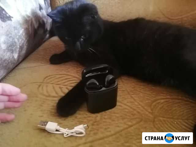Настройка пк/телефона Троицк - изображение 1