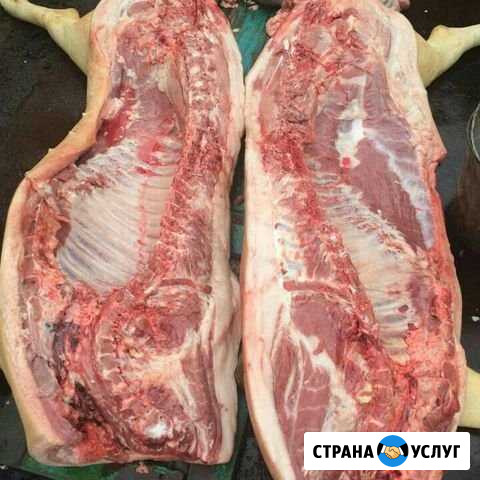 Мясо свеньи Соколовское - изображение 1